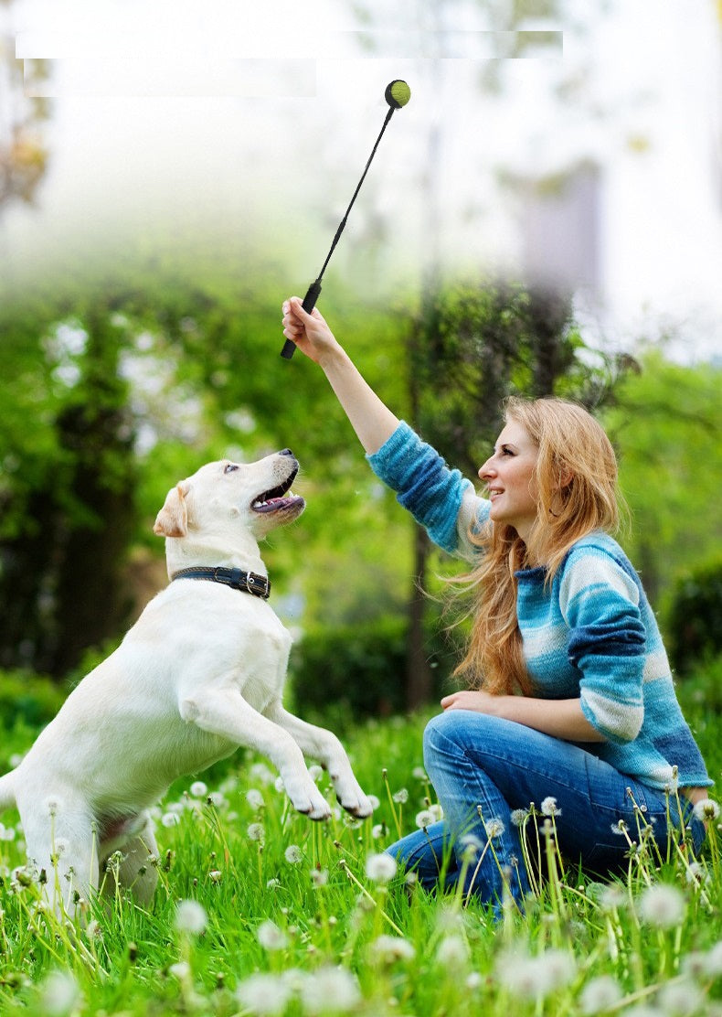 Ballenwerper voor honden
