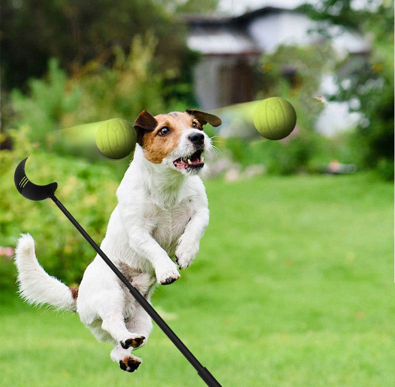 Ballenwerper voor honden