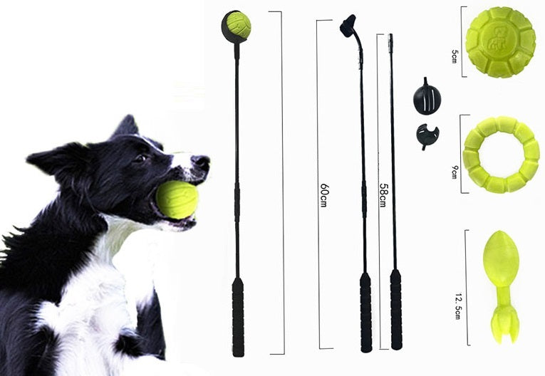 Ballenwerper voor honden