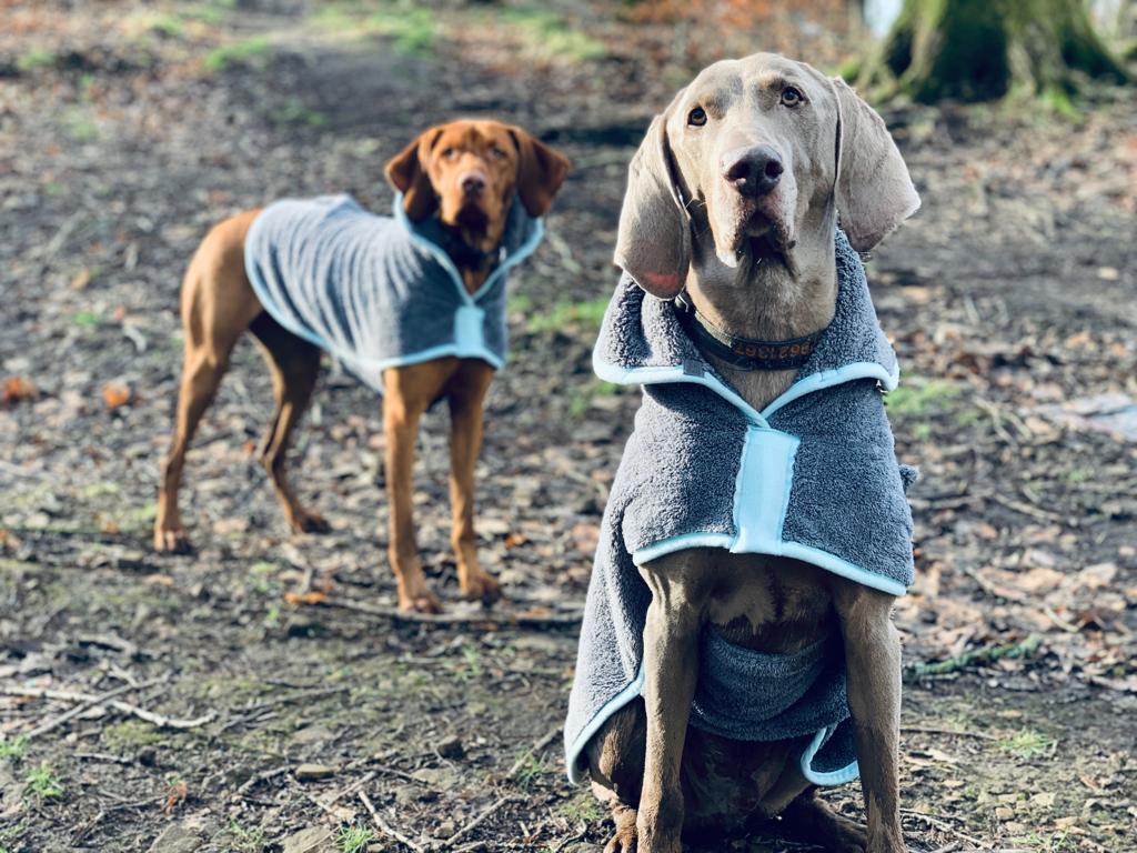 Henry Wag Hondenbadjas – Maat XL