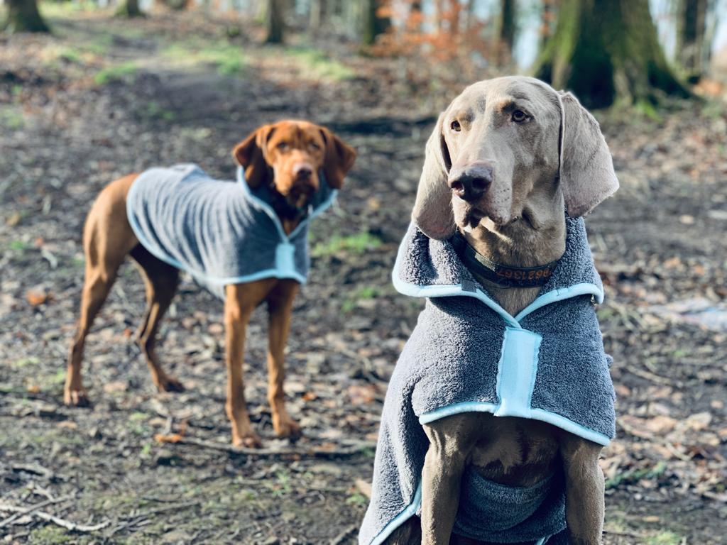 Peignoir pour chien Henry Wag – Taille XL
