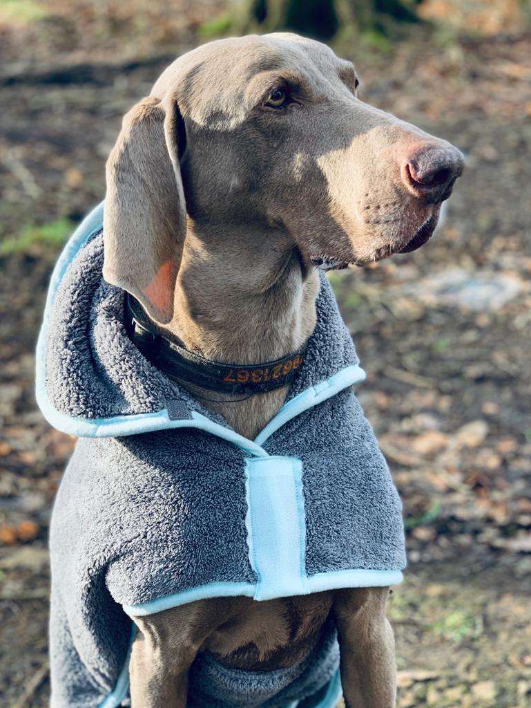 Henry Wag Hondenbadjas – Maat XL