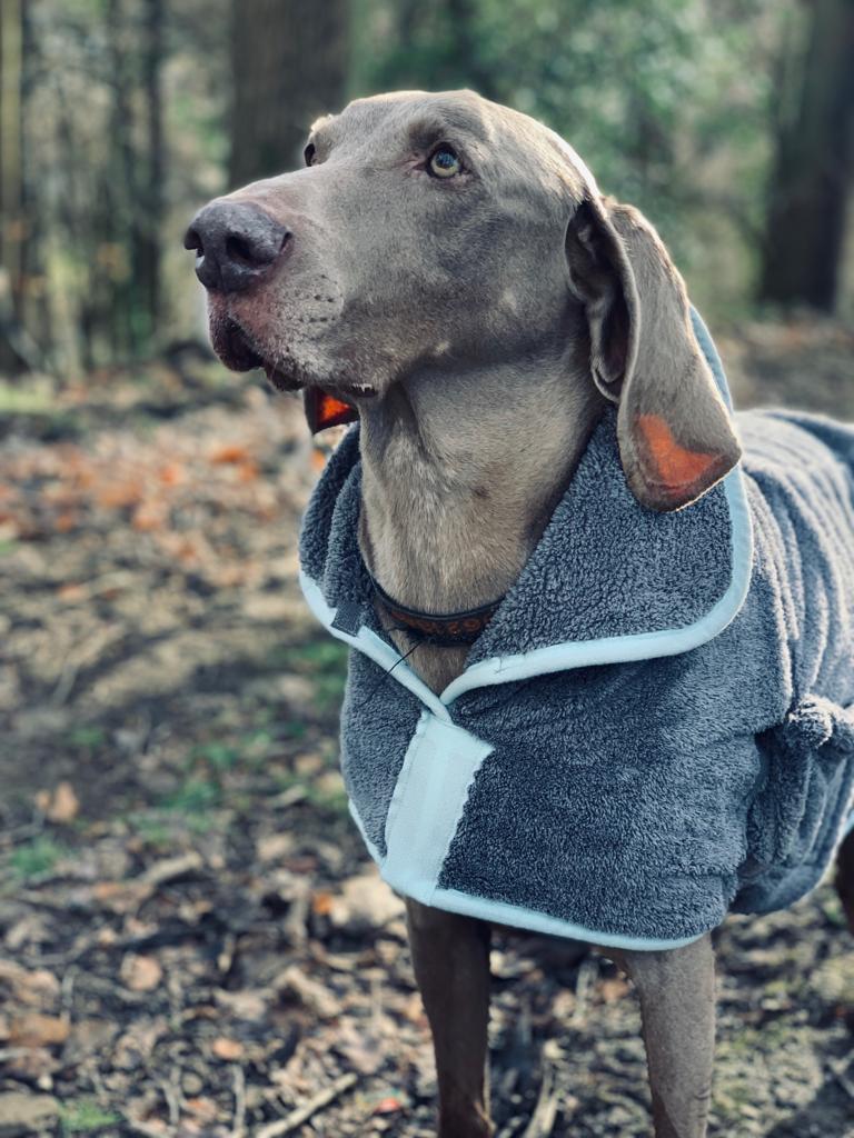 Henry Wag Hondenbadjas – Maat XL
