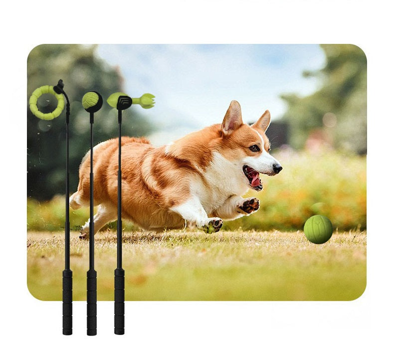 Ballenwerper voor honden