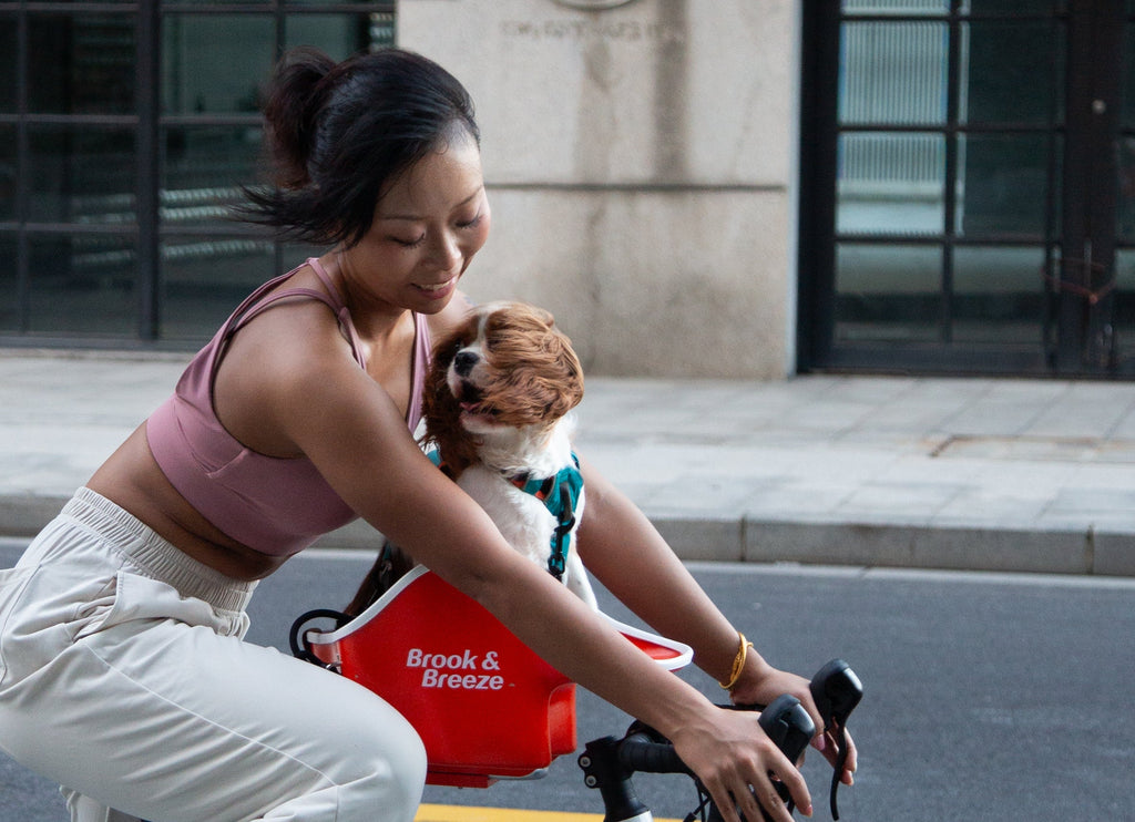 Brook & Breeze Canine Copilot Fahrradsitz
