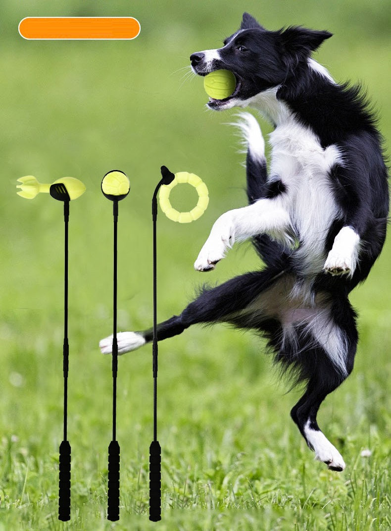 Ballenwerper voor honden