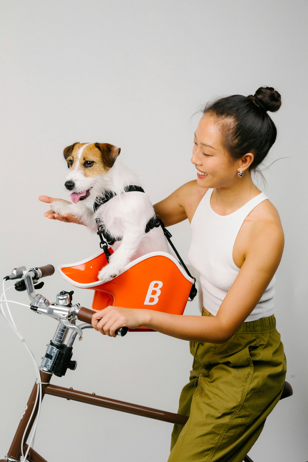Brook & Breeze Canine Copilot Fahrradsitz