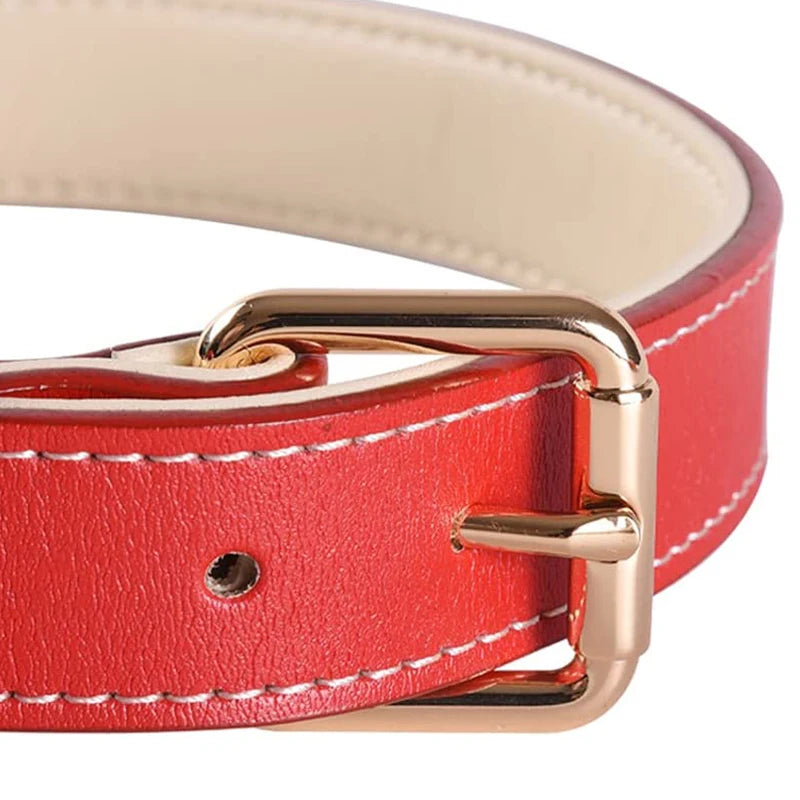 Gevoerde hondenhalsband van leer – rood
