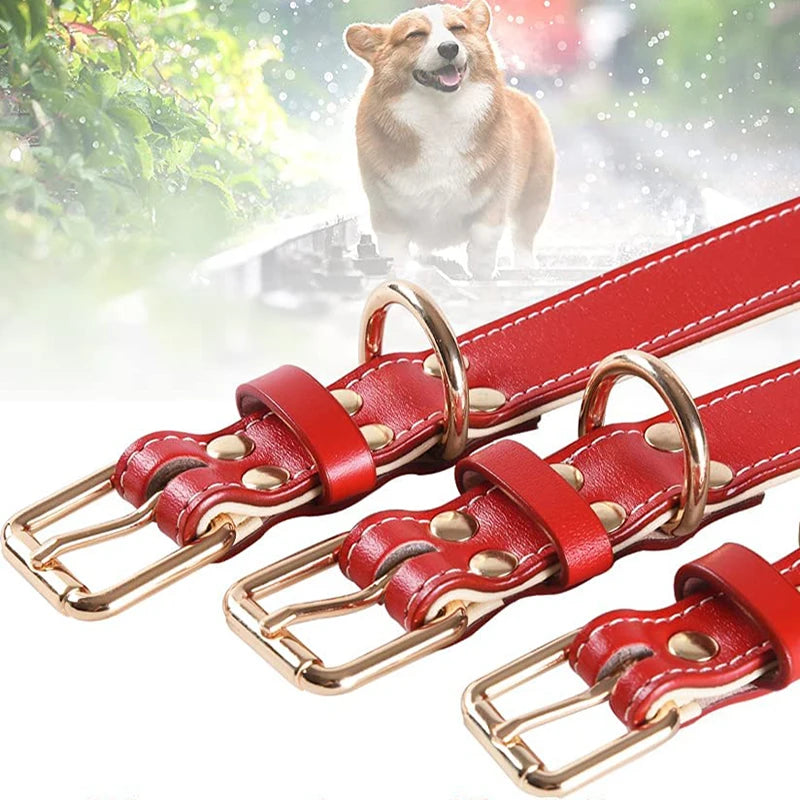 Gevoerde hondenhalsband van leer – rood