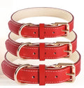 Gevoerde hondenhalsband van leer – rood