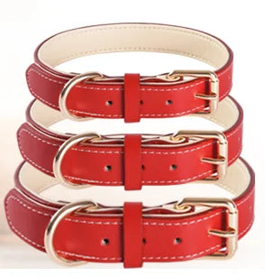 Gevoerde hondenhalsband van leer – rood