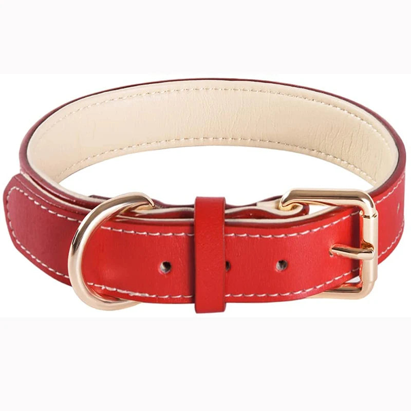 Gevoerde hondenhalsband van leer – rood