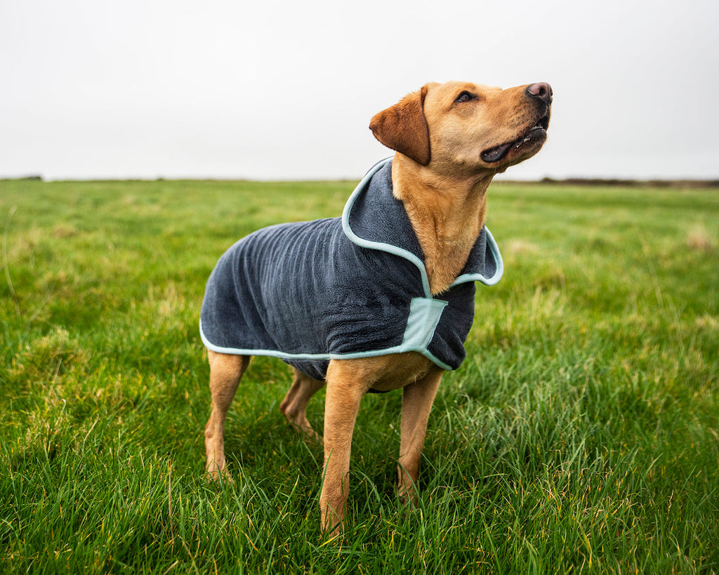 Peignoir pour chien Henry Wag – Taille XL