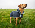 Peignoir pour chien Henry Wag – Taille XL