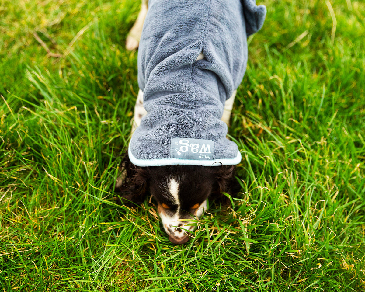 Henry Wag Hondenbadjas – Maat M