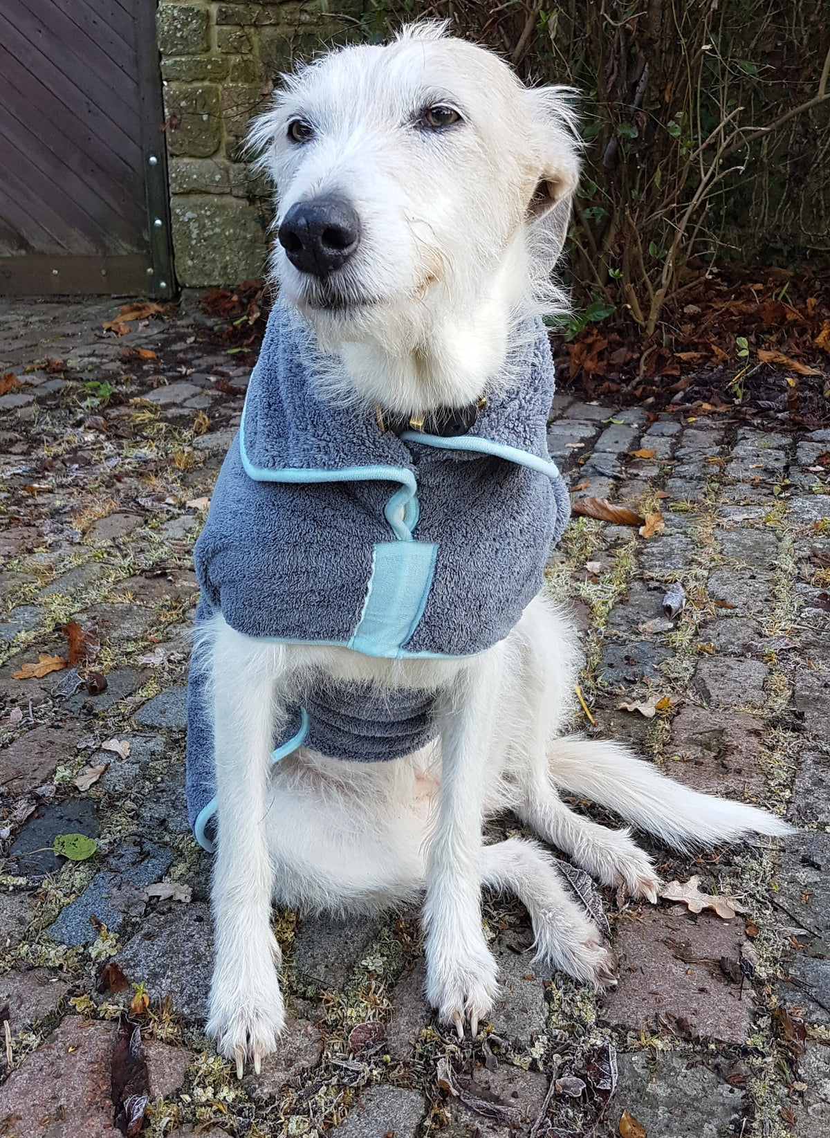 Henry Wag Hondenbadjas – Maat XXL