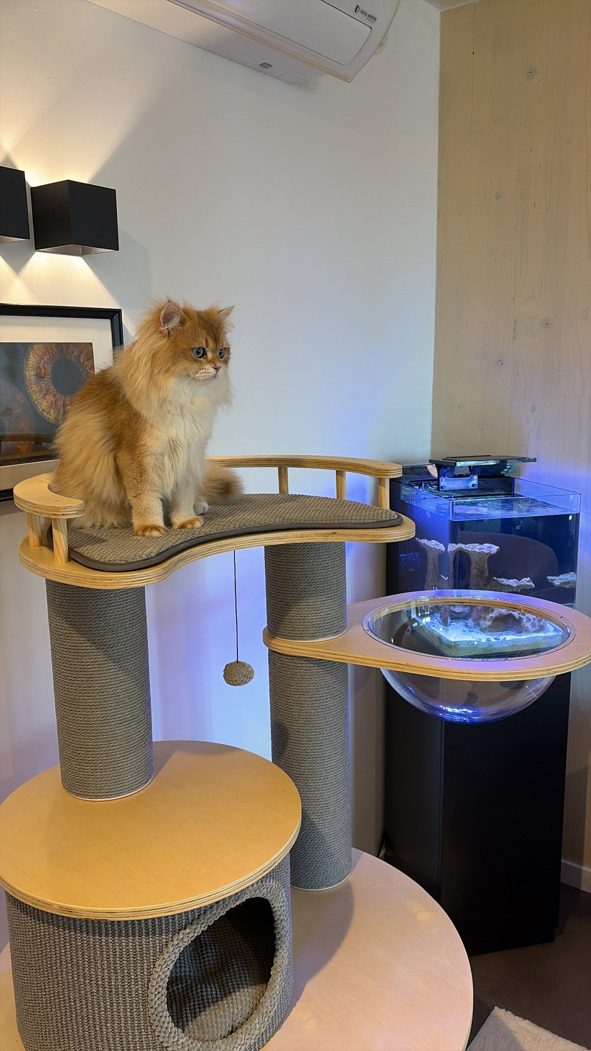 Luxe krabpaal en kattenboom