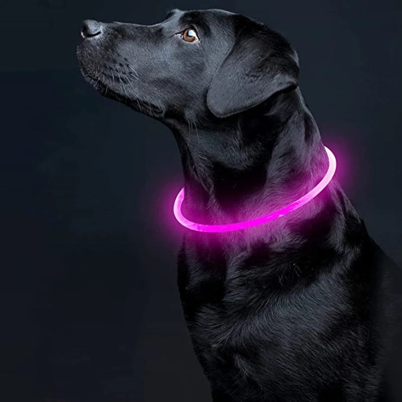 Oplaadbare LED-hondenhalsband met USB