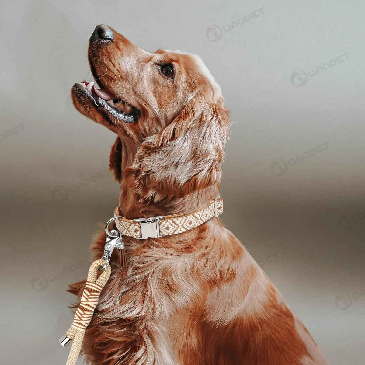 Verstelbare hondenhalsband met bohemian patroon