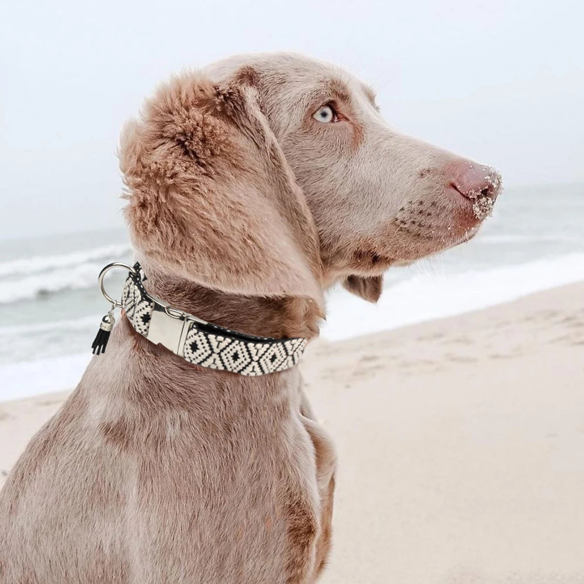 Verstelbare hondenhalsband met bohemian patroon