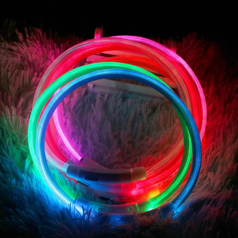 Oplaadbare LED-hondenhalsband met USB