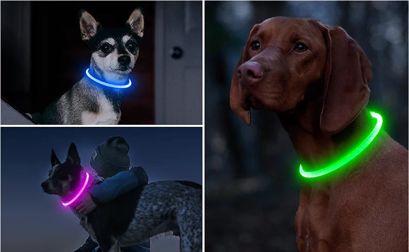Oplaadbare LED-hondenhalsband met USB