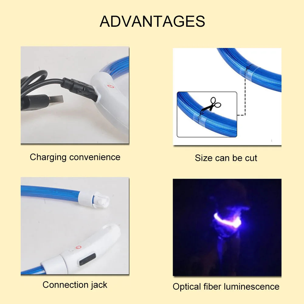 Oplaadbare LED-hondenhalsband met USB
