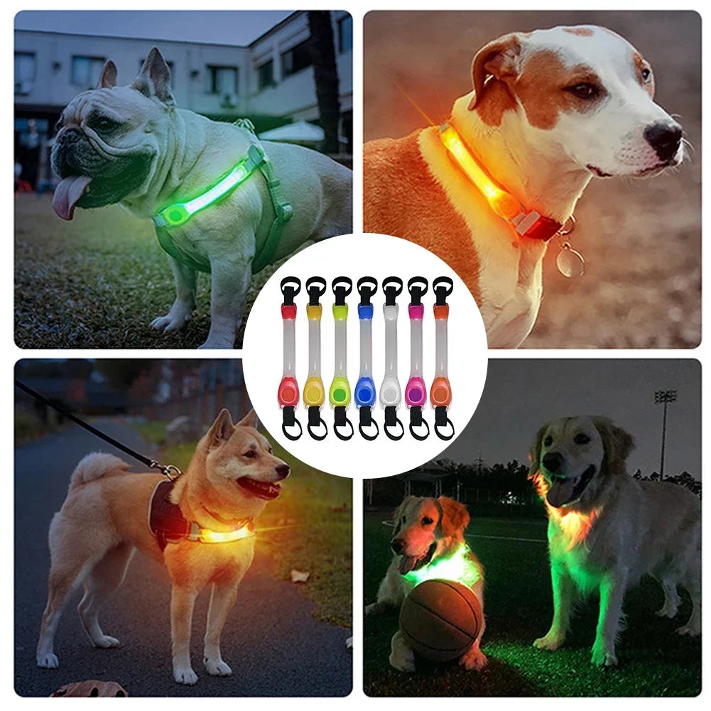 LED-veiligheidslicht voor hondenhalsband