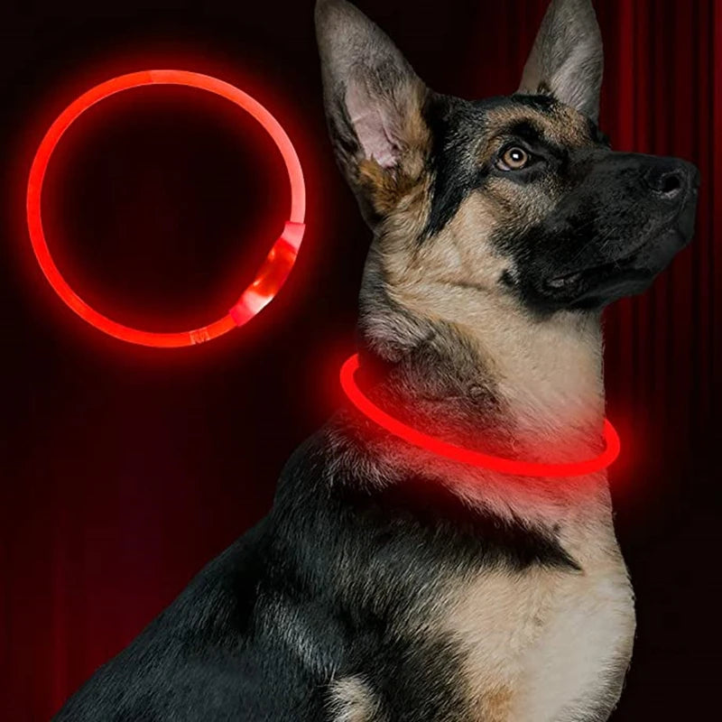 Oplaadbare LED-hondenhalsband met USB