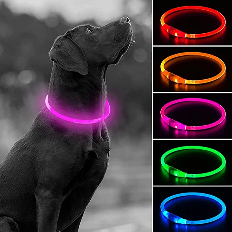 Oplaadbare LED-hondenhalsband met USB