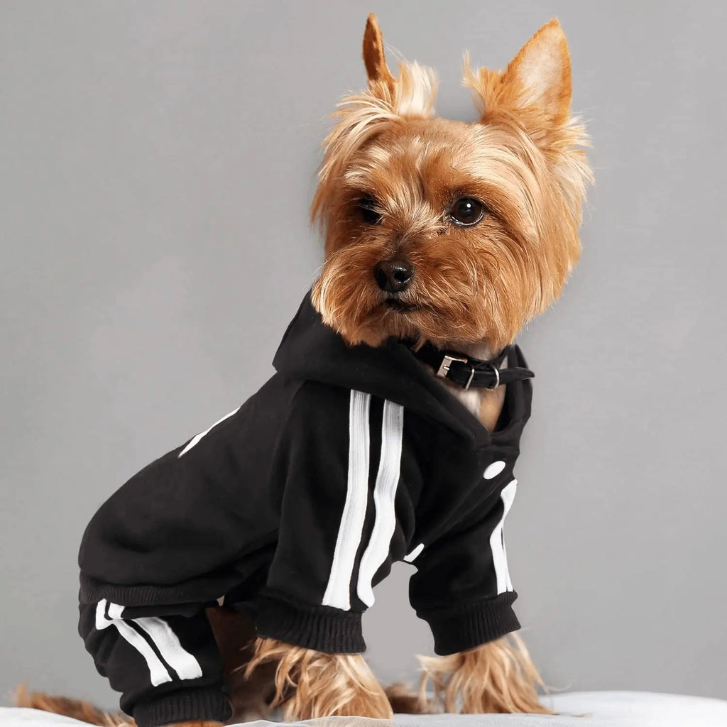Hondenhoodie met vier pootjes