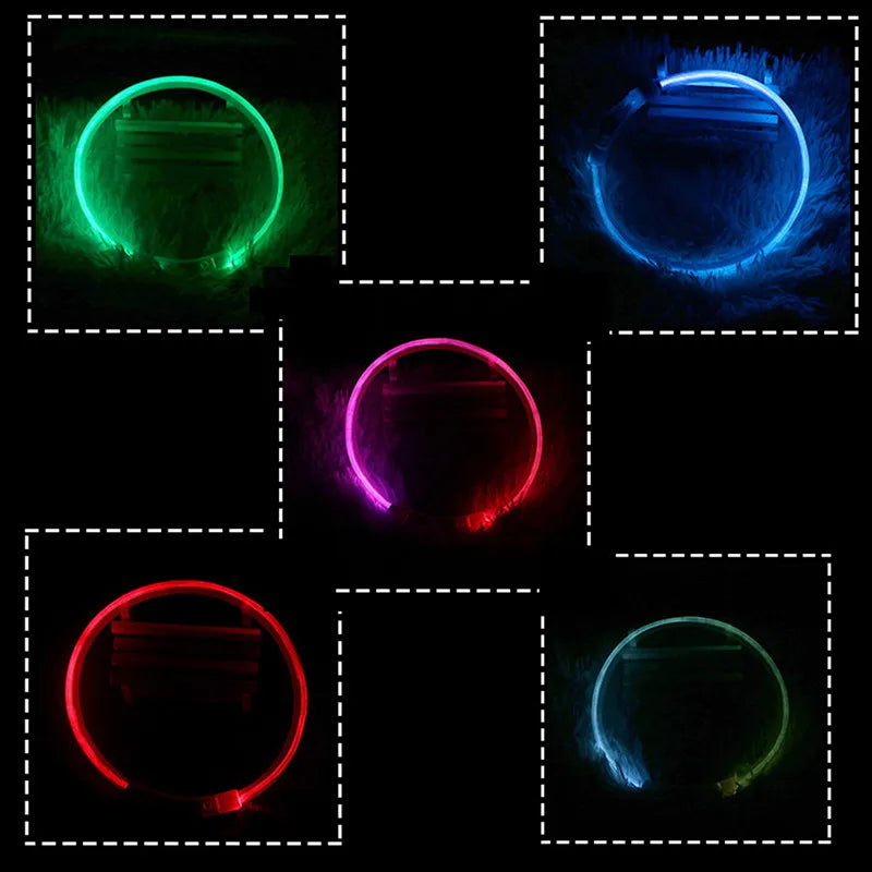 Oplaadbare LED-hondenhalsband met USB