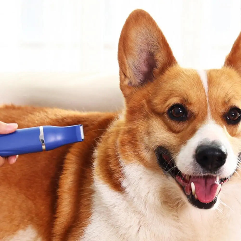 4-in-1 verzorgingsset voor honden en katten