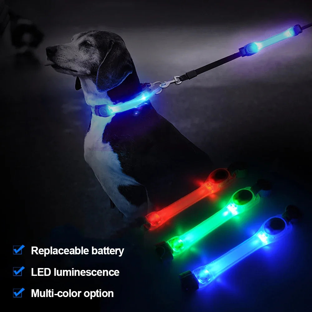 LED-veiligheidslicht voor hondenhalsband