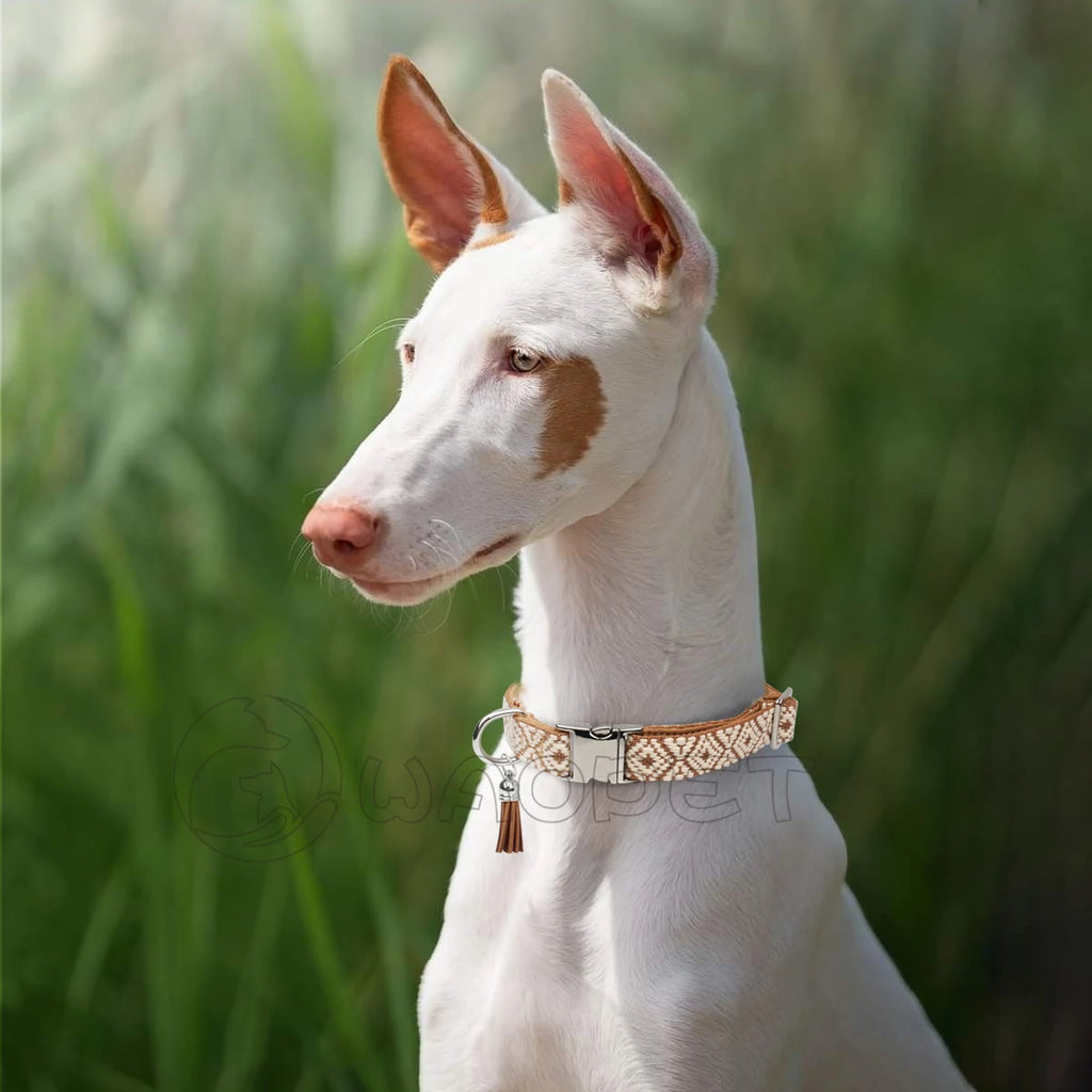 Verstelbare hondenhalsband met bohemian patroon