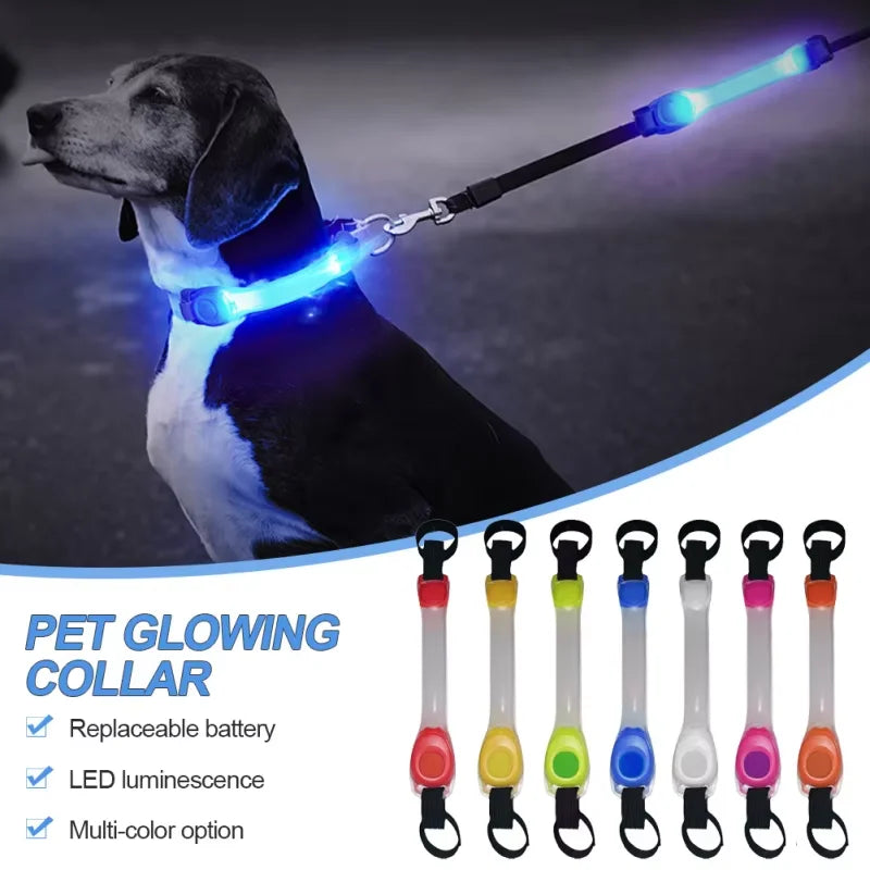 LED-veiligheidslicht voor hondenhalsband