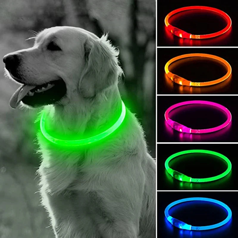 Oplaadbare LED-hondenhalsband met USB