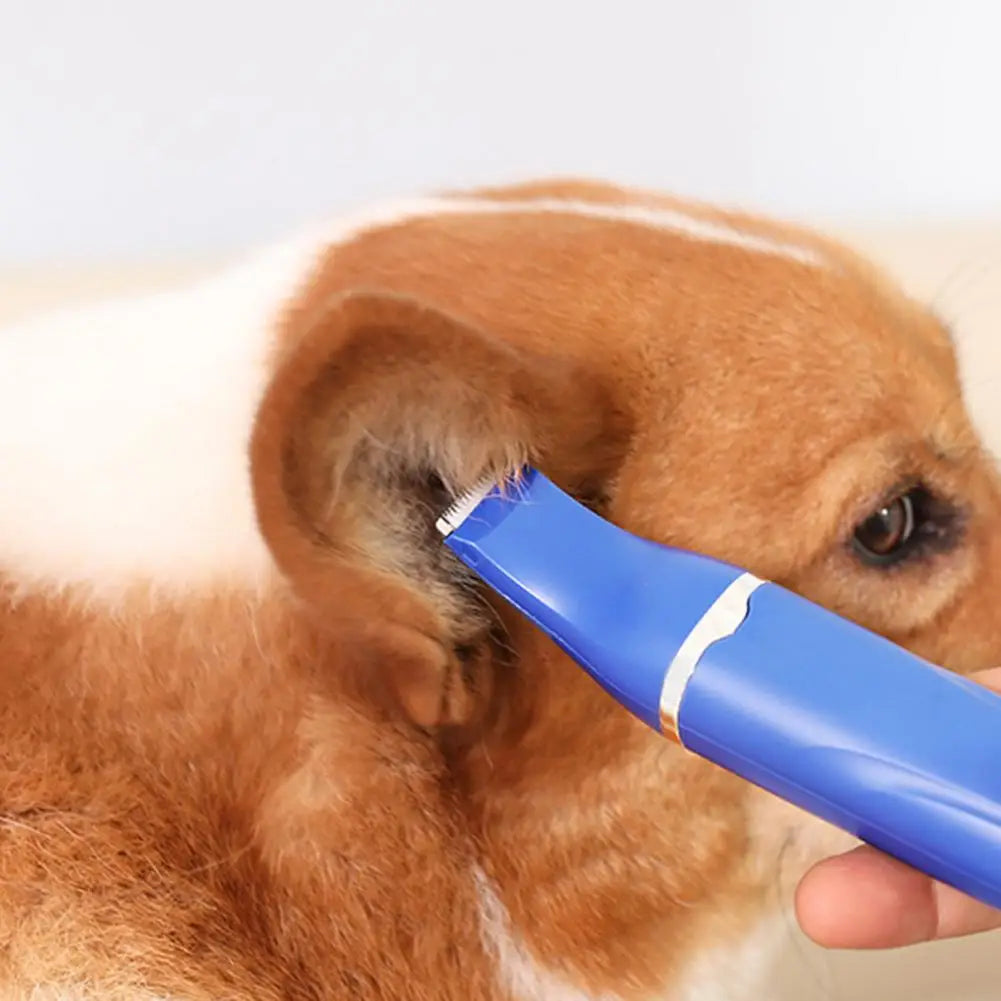 4-in-1 verzorgingsset voor honden en katten