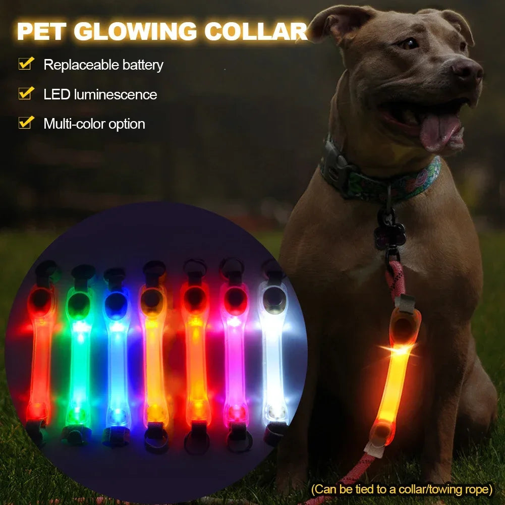 LED-veiligheidslicht voor hondenhalsband