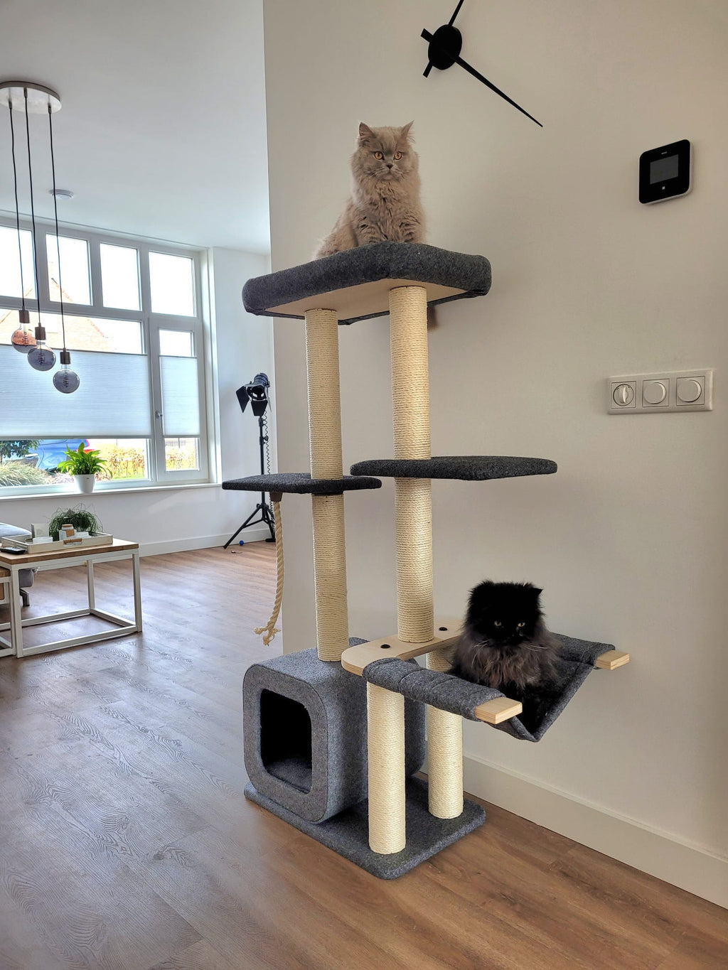 Kattenkrabpaal Candy - klimboom voor katten