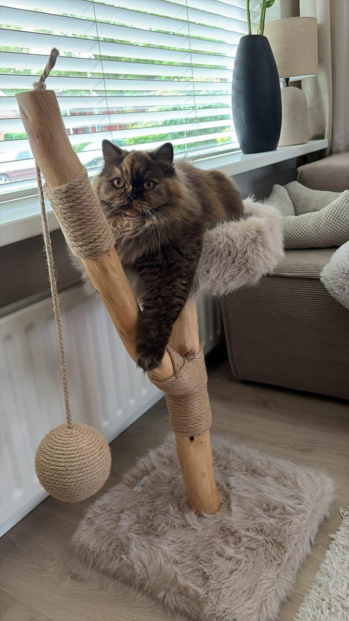 Arbre à chat LUNA