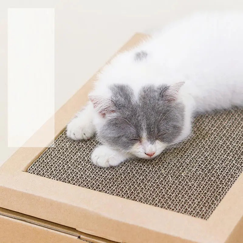 Kattenhuis speelhuis - Speel-, krab- en slaapplek